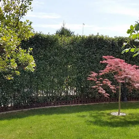 Villa Nepi *